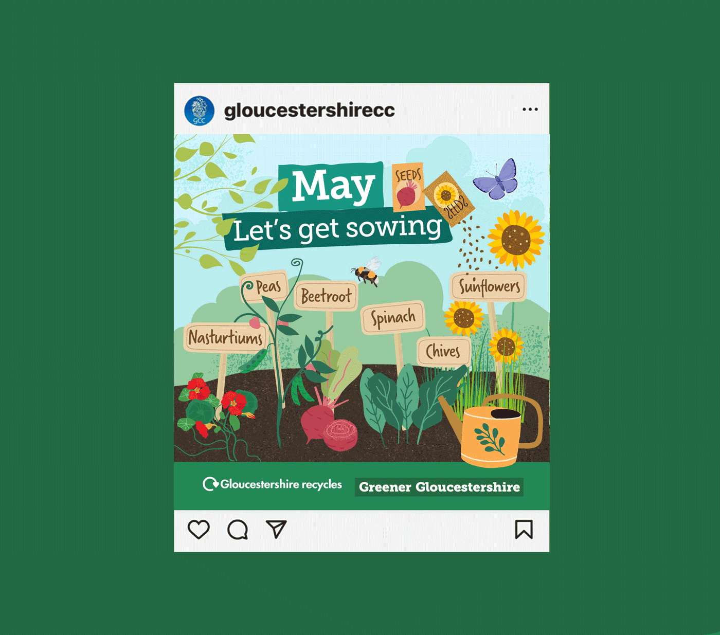 GCC-Instagram-animated GCC-Instagram-animated