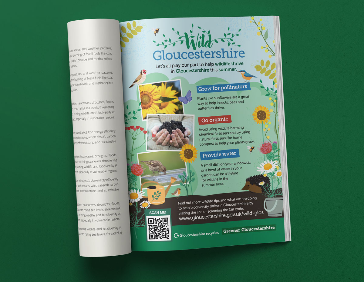 GCC-advert1 GCC-advert1