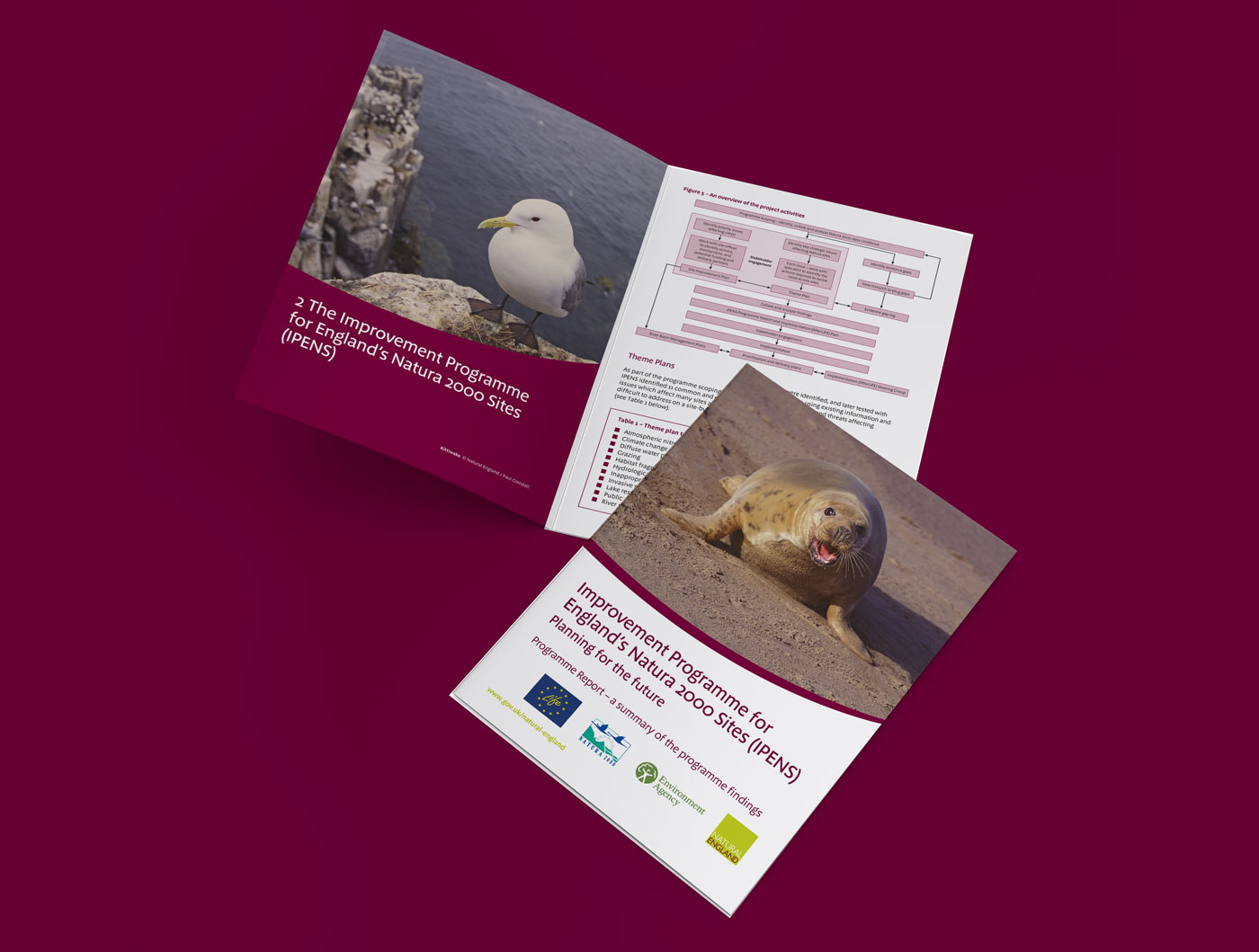 natural-england-brochure natural-england-brochure